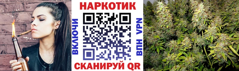 A-PVP Сковородино