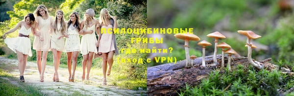 тгк Белокуриха