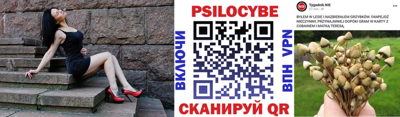 Псилоцибиновые грибы GOLDEN TEACHER  наркотики  Сковородино 